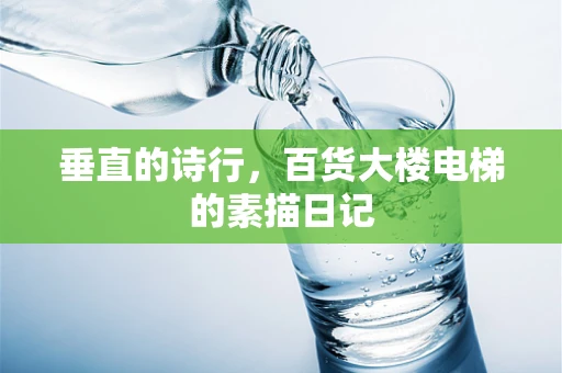 垂直的诗行，百货大楼电梯的素描日记