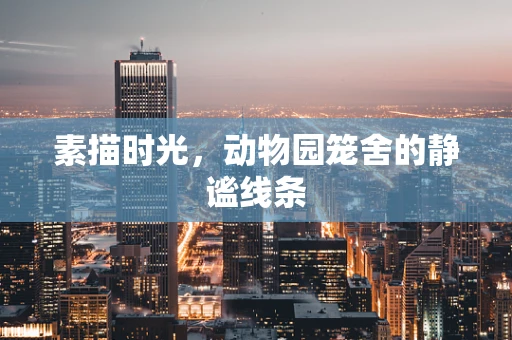 素描时光，动物园笼舍的静谧线条