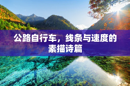 公路自行车，线条与速度的素描诗篇