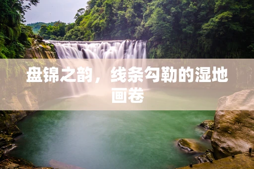 盘锦之韵，线条勾勒的湿地画卷