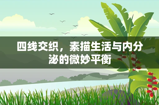 四线交织，素描生活与内分泌的微妙平衡
