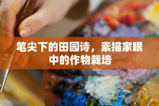 笔尖下的田园诗，素描家眼中的作物栽培