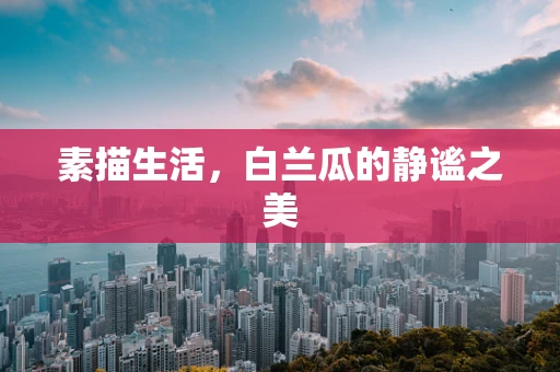 素描生活，白兰瓜的静谧之美