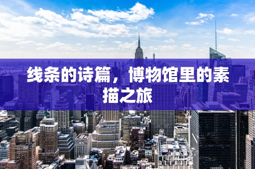 线条的诗篇，博物馆里的素描之旅