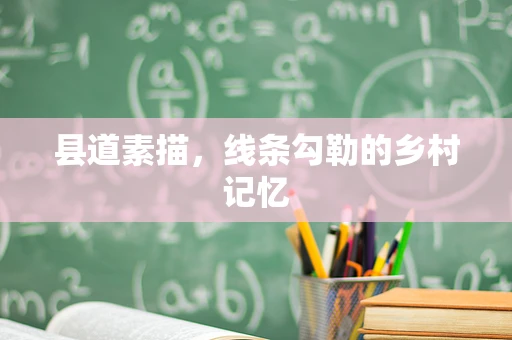 县道素描，线条勾勒的乡村记忆