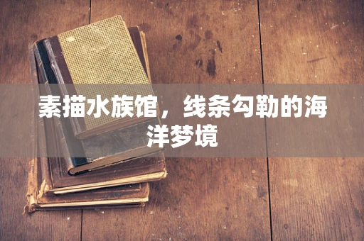 素描水族馆，线条勾勒的海洋梦境