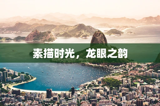 素描时光，龙眼之韵