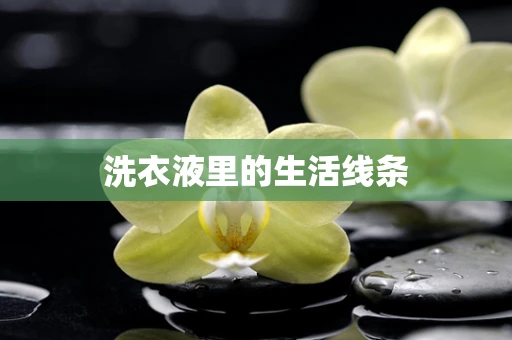 洗衣液里的生活线条