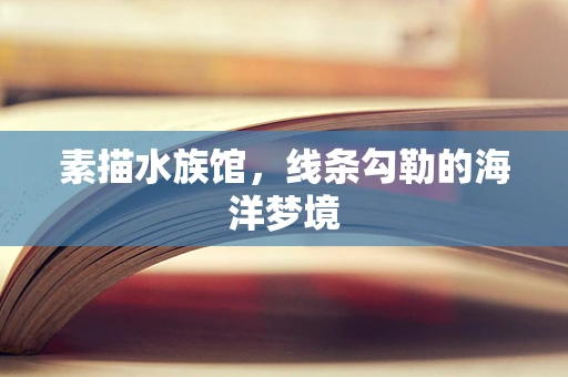 素描水族馆，线条勾勒的海洋梦境