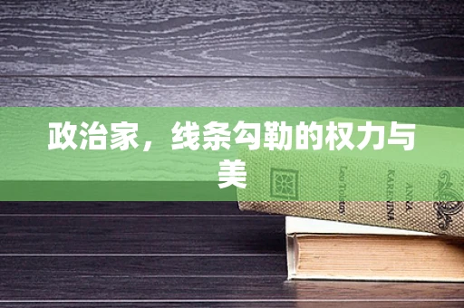 政治家，线条勾勒的权力与美