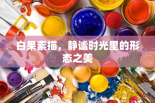 白果素描，静谧时光里的形态之美