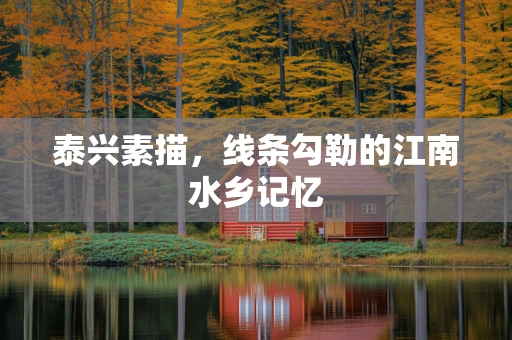 泰兴素描，线条勾勒的江南水乡记忆