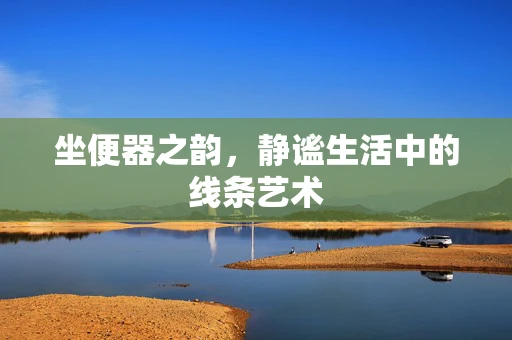 坐便器之韵，静谧生活中的线条艺术
