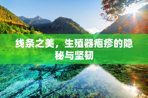 线条之美，生殖器疱疹的隐秘与坚韧