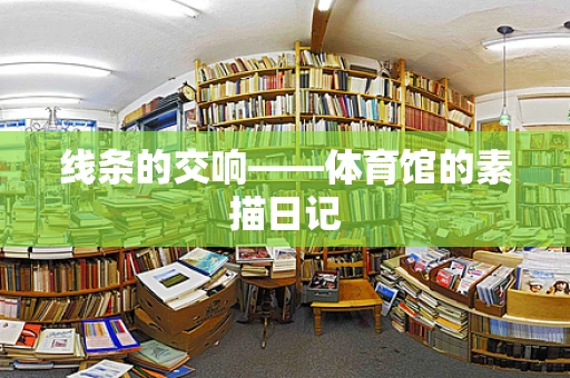 线条的交响——体育馆的素描日记