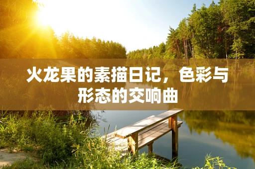 火龙果的素描日记，色彩与形态的交响曲