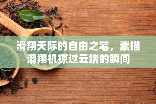 滑翔天际的自由之笔，素描滑翔机掠过云端的瞬间