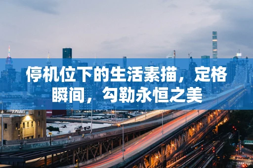停机位下的生活素描，定格瞬间，勾勒永恒之美