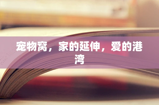 宠物窝，家的延伸，爱的港湾
