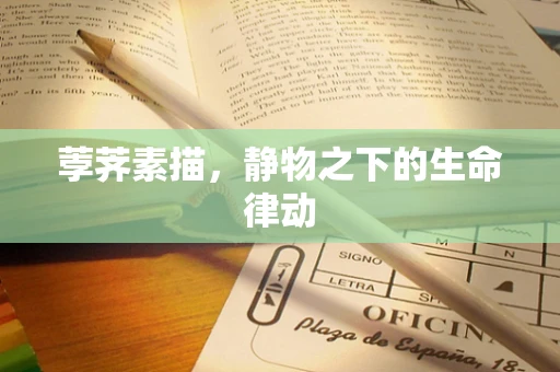 荸荠素描，静物之下的生命律动