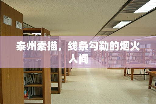 泰州素描，线条勾勒的烟火人间