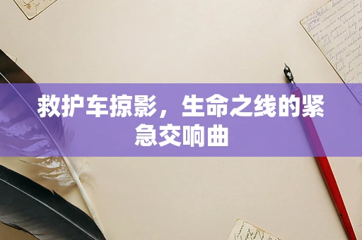 救护车掠影，生命之线的紧急交响曲