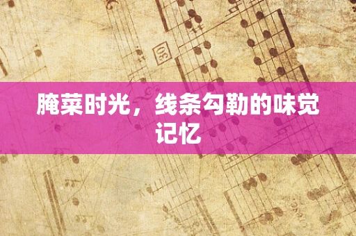 腌菜时光，线条勾勒的味觉记忆