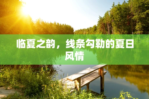 临夏之韵，线条勾勒的夏日风情
