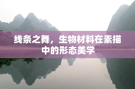 线条之舞，生物材料在素描中的形态美学