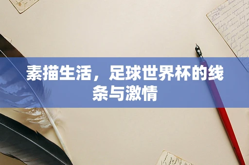 素描生活，足球世界杯的线条与激情