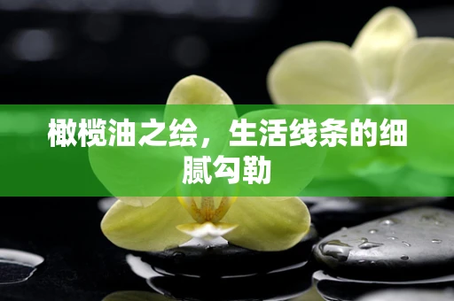 橄榄油之绘，生活线条的细腻勾勒