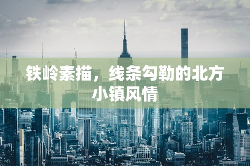 铁岭素描，线条勾勒的北方小镇风情