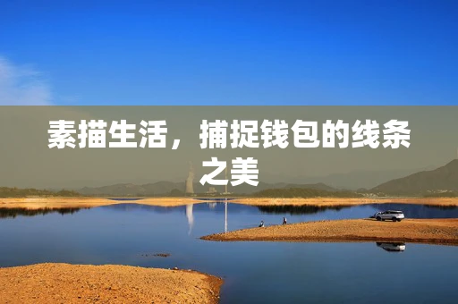 素描生活，捕捉钱包的线条之美