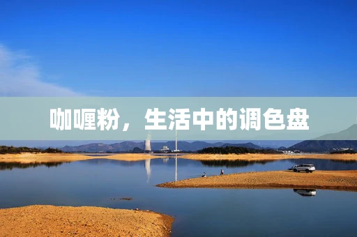 咖喱粉，生活中的调色盘