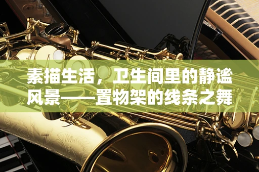 素描生活，卫生间里的静谧风景——置物架的线条之舞