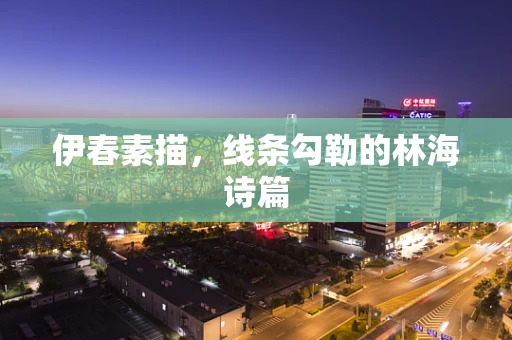 伊春素描，线条勾勒的林海诗篇