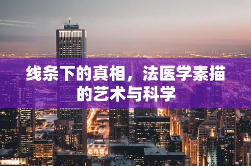 线条下的真相，法医学素描的艺术与科学