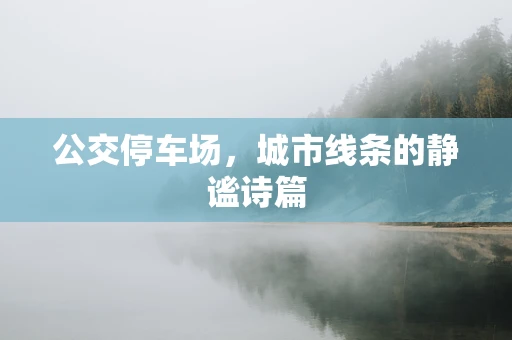 公交停车场，城市线条的静谧诗篇