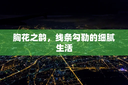 胸花之韵，线条勾勒的细腻生活