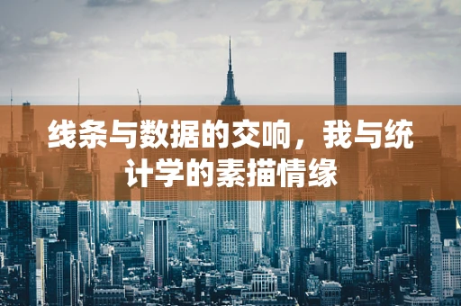 线条与数据的交响，我与统计学的素描情缘