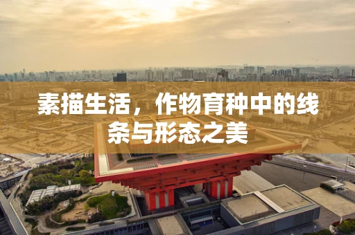 素描生活，作物育种中的线条与形态之美