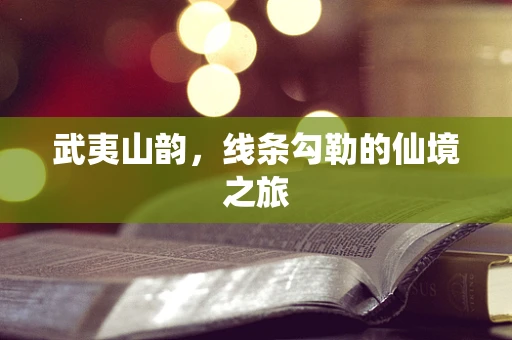 武夷山韵，线条勾勒的仙境之旅