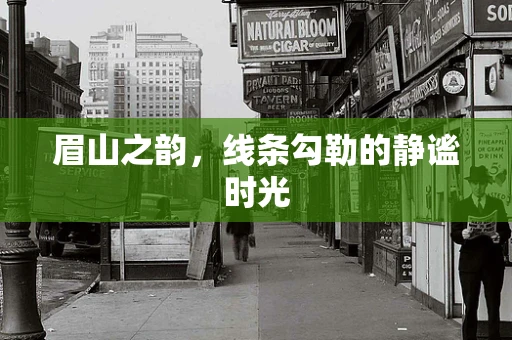眉山之韵，线条勾勒的静谧时光