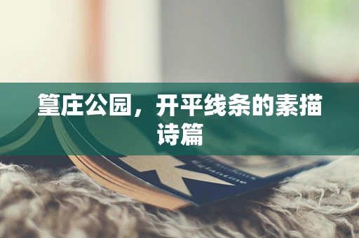 篁庄公园，开平线条的素描诗篇