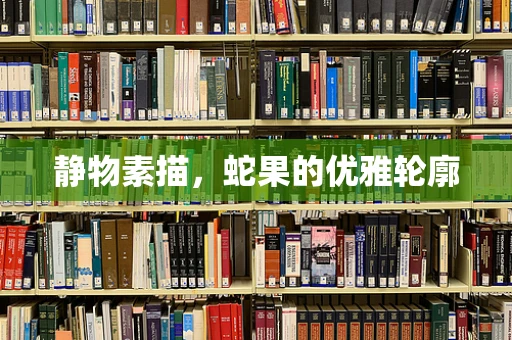 静物素描，蛇果的优雅轮廓