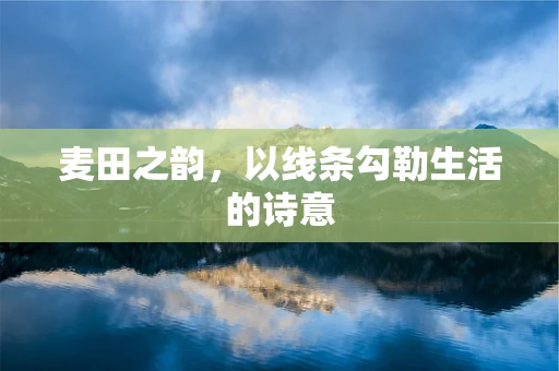 麦田之韵，以线条勾勒生活的诗意