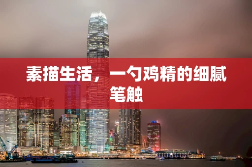 素描生活，一勺鸡精的细腻笔触