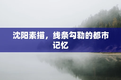 沈阳素描，线条勾勒的都市记忆