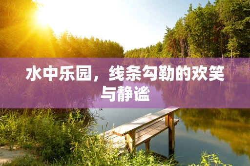 水中乐园，线条勾勒的欢笑与静谧