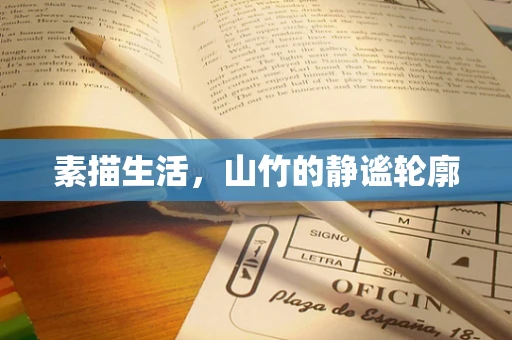 素描生活，山竹的静谧轮廓